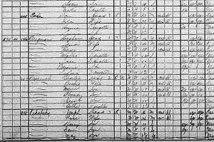 Charles Peselnick 1920 Census Close-Up
